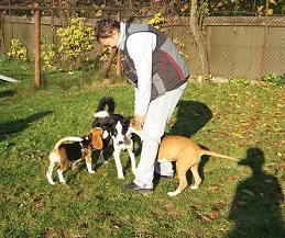 Puppy Class servizio 2