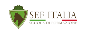 SEF ITALIA