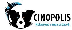 Associazione Culturale Sportivo Dilettantistica “Cinopolis”